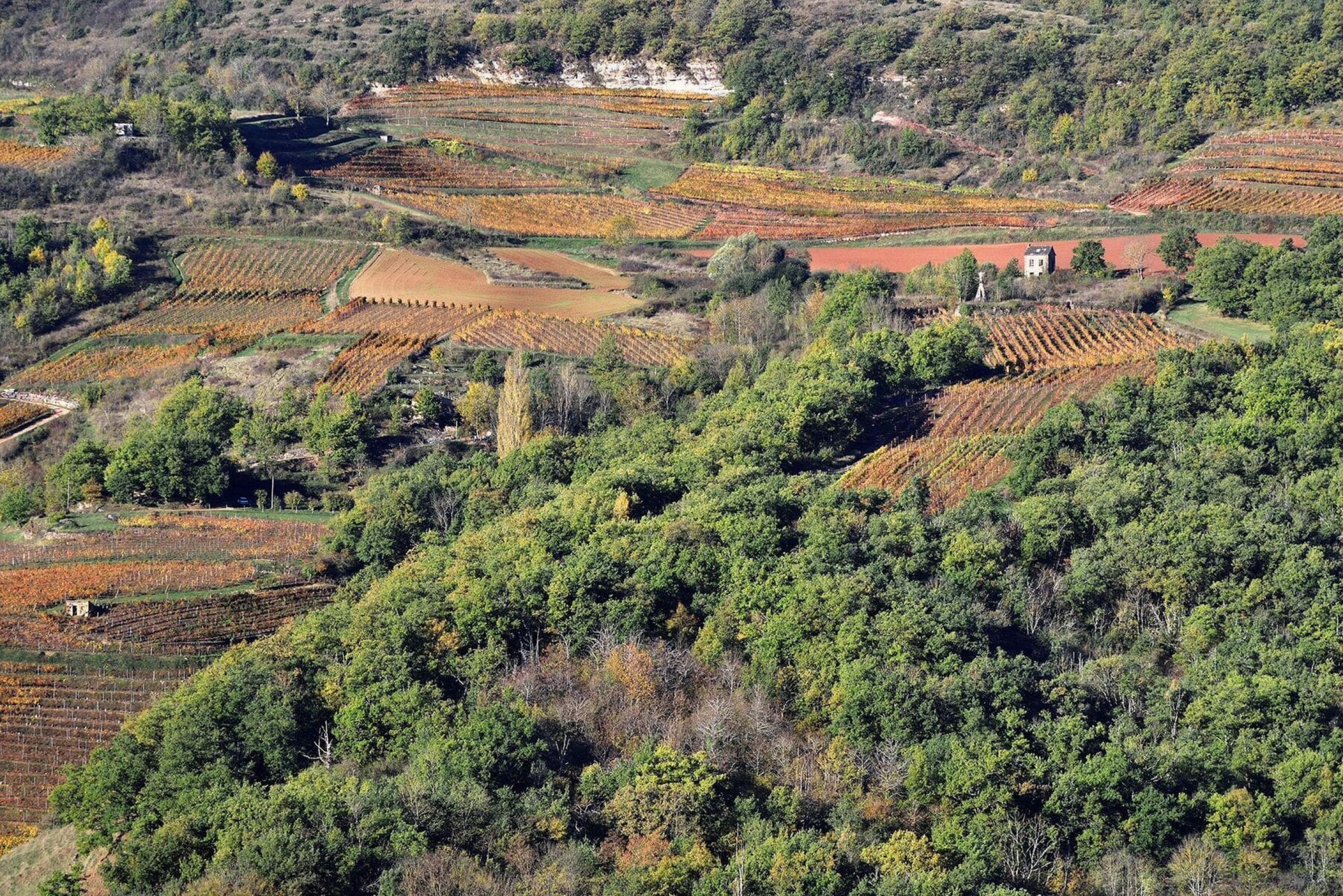 Le Vallon, terre grès rouge ou calcaire